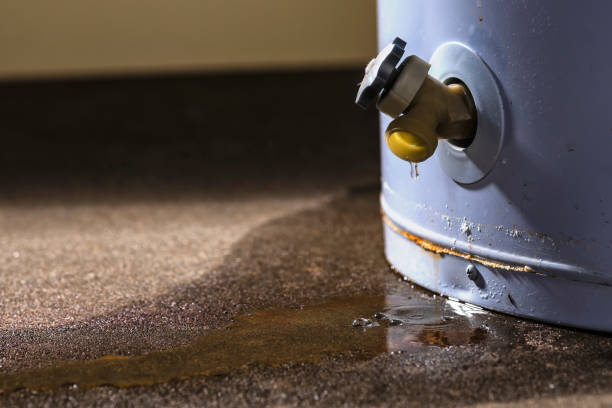 Best Carpet water damage restoration  in Camden, NJ