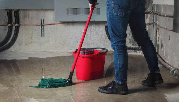 Best Basement water damage restoration  in Camden, NJ