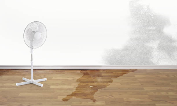 Best Residential water damage restoration  in Camden, NJ