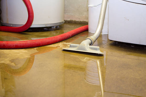 Best Flood damage cleanup  in Camden, NJ