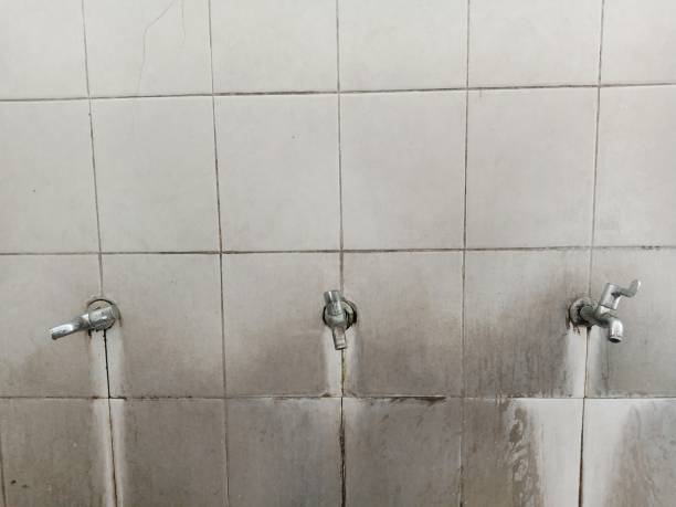 Best Professional water damage repair  in Camden, NJ