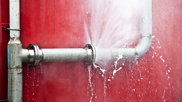 Best Flood restoration services  in Camden, NJ